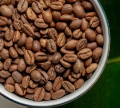 2 x 250 g - Café en grain - Aymara Bio - GREEN LION COFFEE