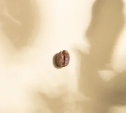 2 x 250 g - Café en grain - Le Mélange Inca Bio - GREEN LION COFFEE