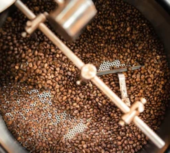2 x 1 kg - Café en grain - Aroma Gold 100% Arabica - KIMBO