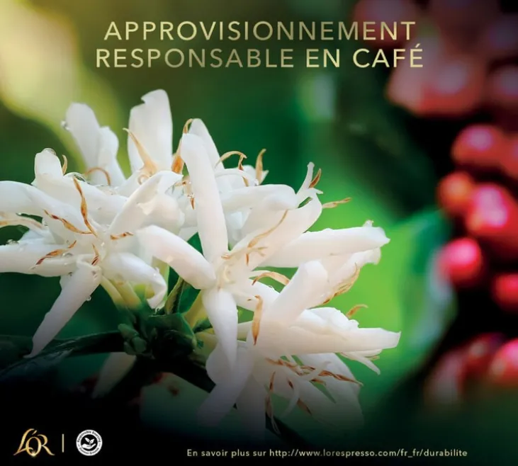 4 x 1 kg - Café en grain - Intensité 10 - L'OR