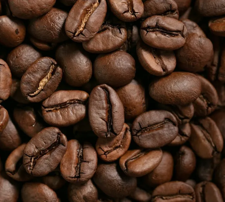 2 X 1 kg - Café en grain – Pack découverte Absolu & Sélection Arabica – L’OR